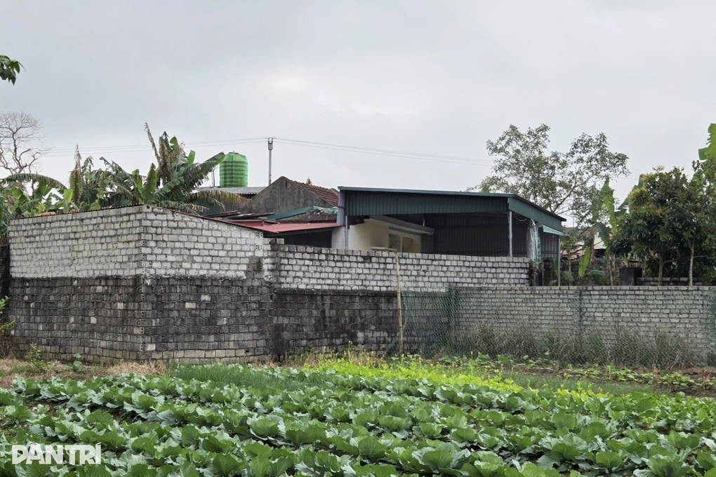 Án mạng 3 người tử vong: Vụ án xảy ra trước buổi hòa giải ly hôn - 1