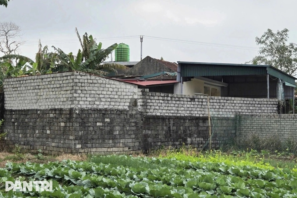 Án mạng 3 người tử vong ở Thanh Hóa: Mâu thuẫn giữa hai vợ chồng kéo dài - 2