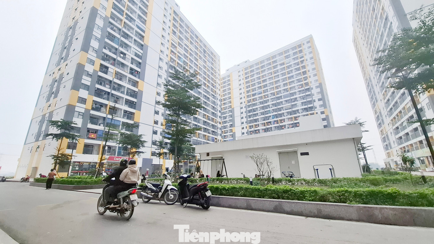 Bắc Ninh, Hải Phòng phát hiện hàng loạt sai phạm mua bán nhà ở xã hội- Ảnh 1.