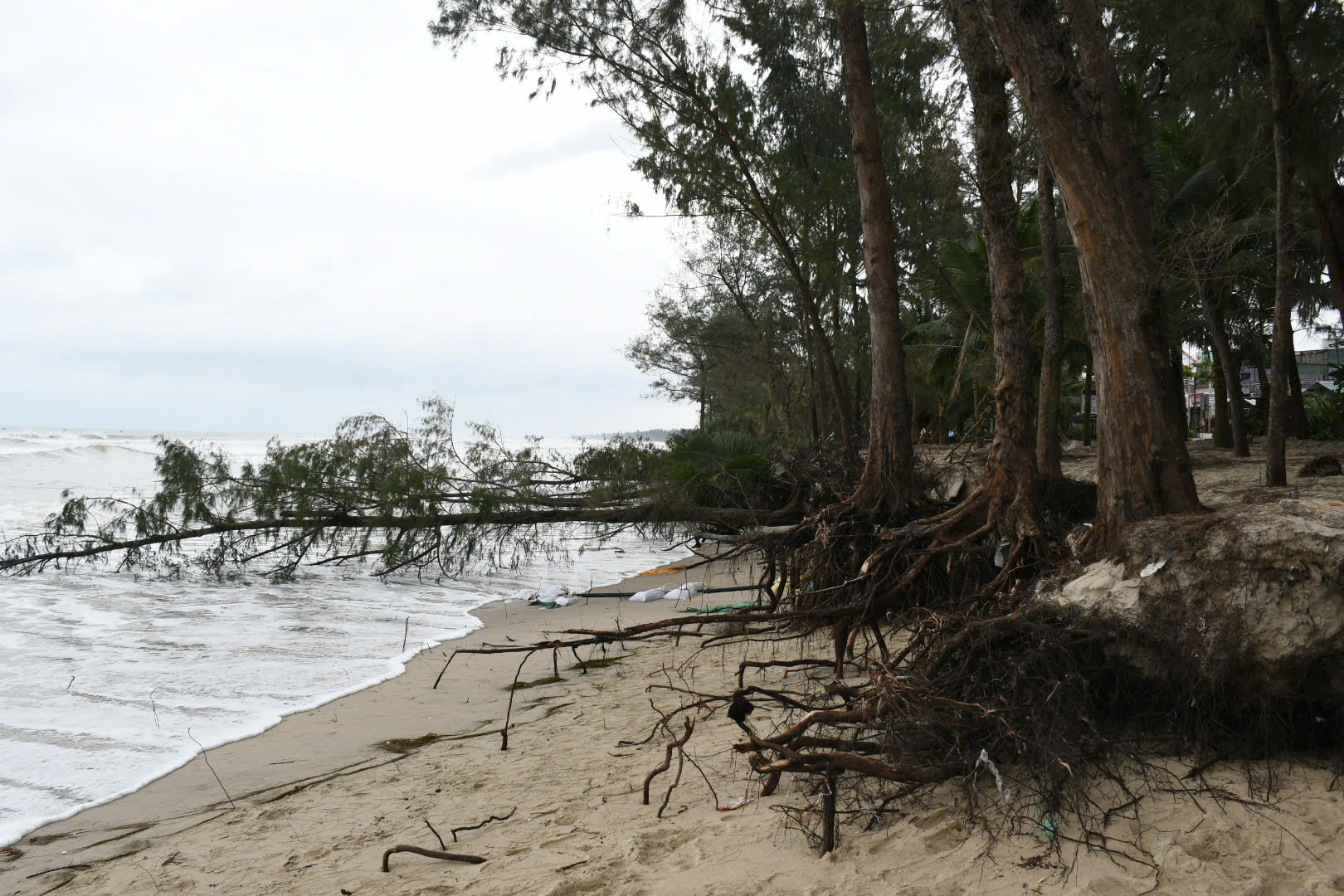 Bãi biển Mỹ Khê nguy cơ bị xóa sổ do triều cường lớn bất thường 