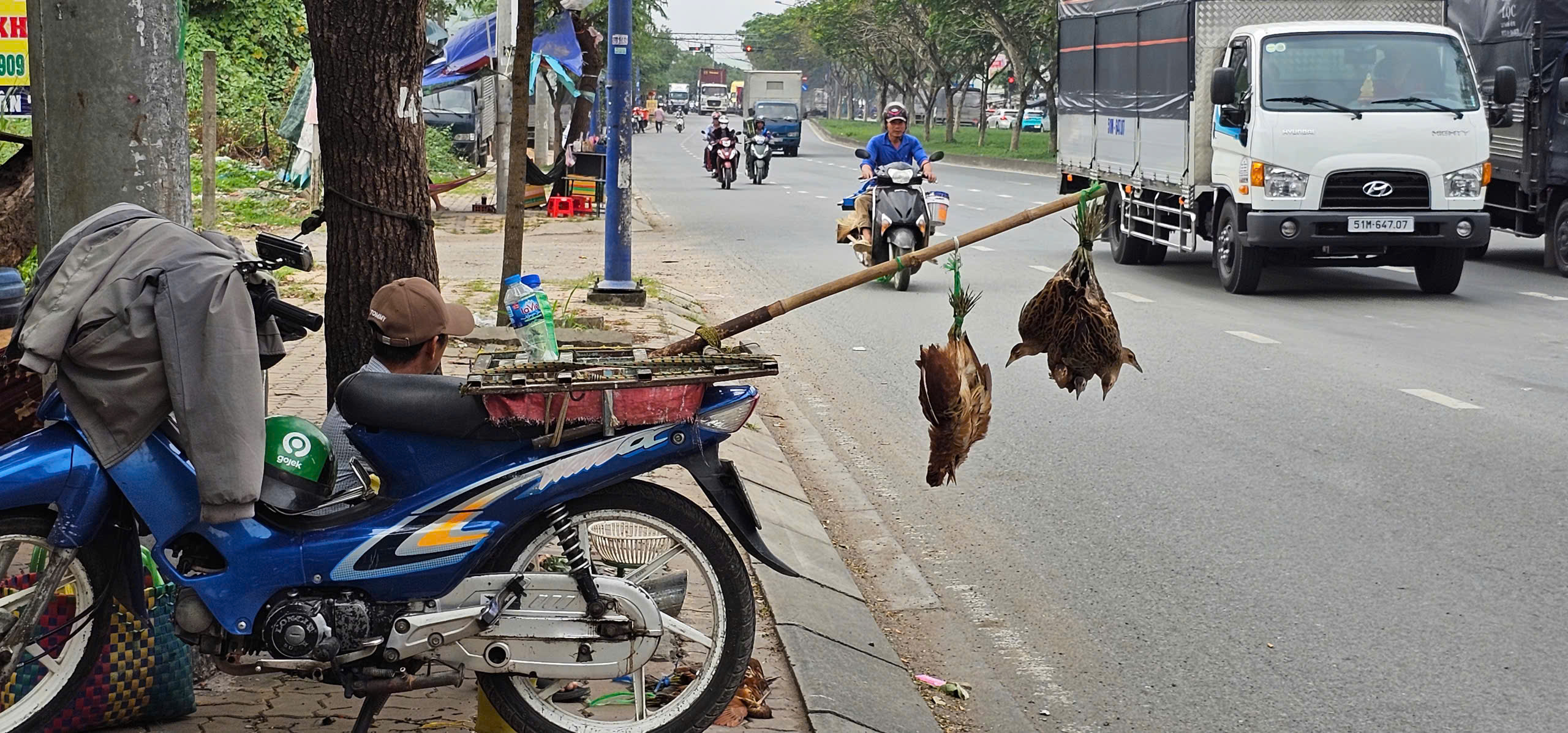 Buôn bán chim trời, thú rừng: 'Chợ đen' công khai thách thức pháp luật - Ảnh 4.