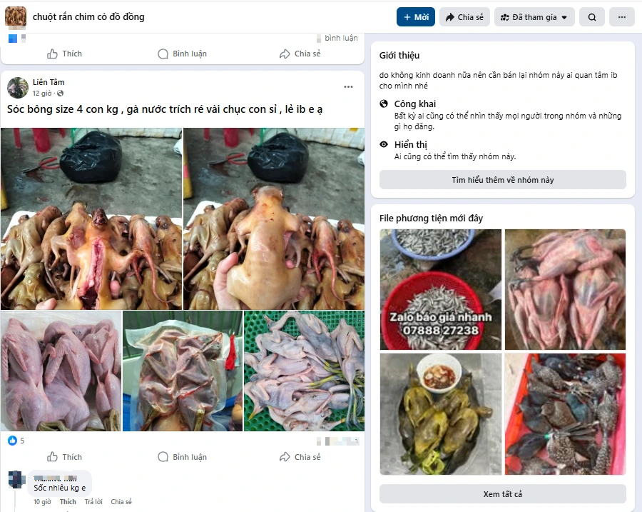 Buôn bán chim trời, thú rừng: 'Chợ đen' công khai thách thức pháp luật - Ảnh 1.