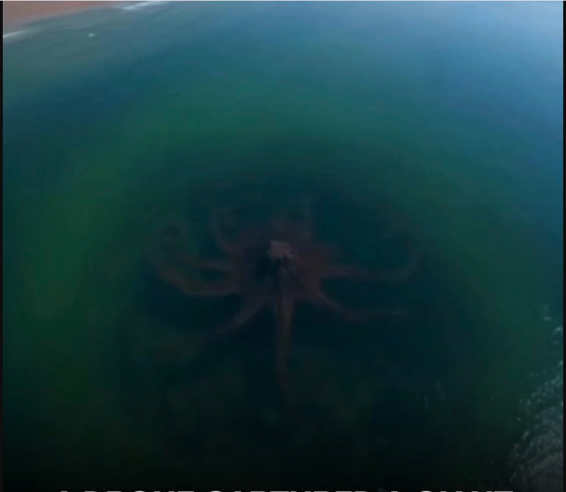 Bất ngờ phát hiện Bất ngờ phát hiện