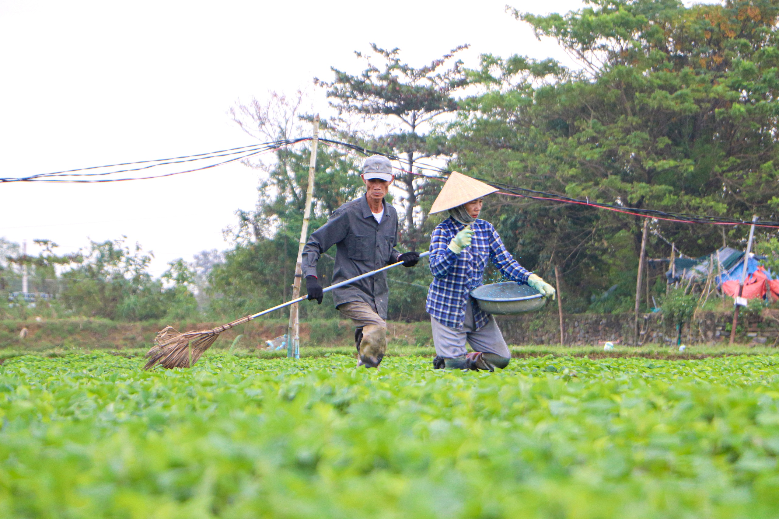Đà Nẵng - Ảnh 1.