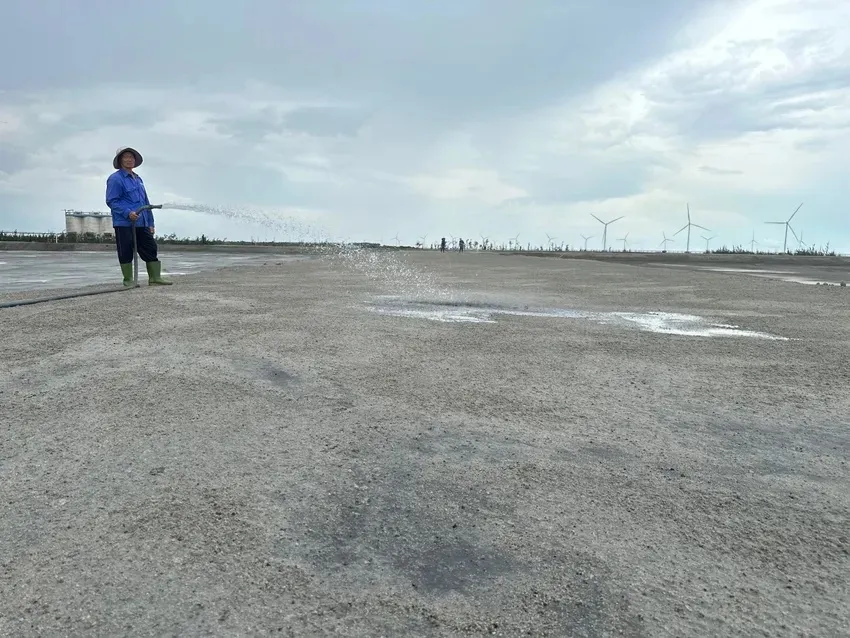 tri xỉ nhiệt điện duyên hải vĩnh long