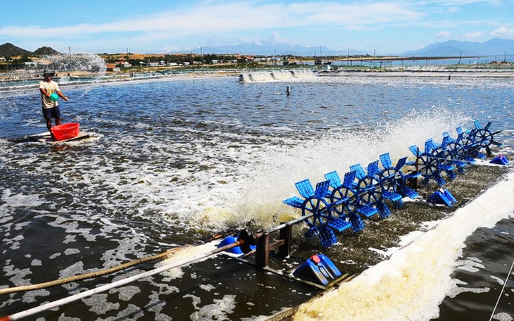 Bộ trưởng  - Ảnh 1.