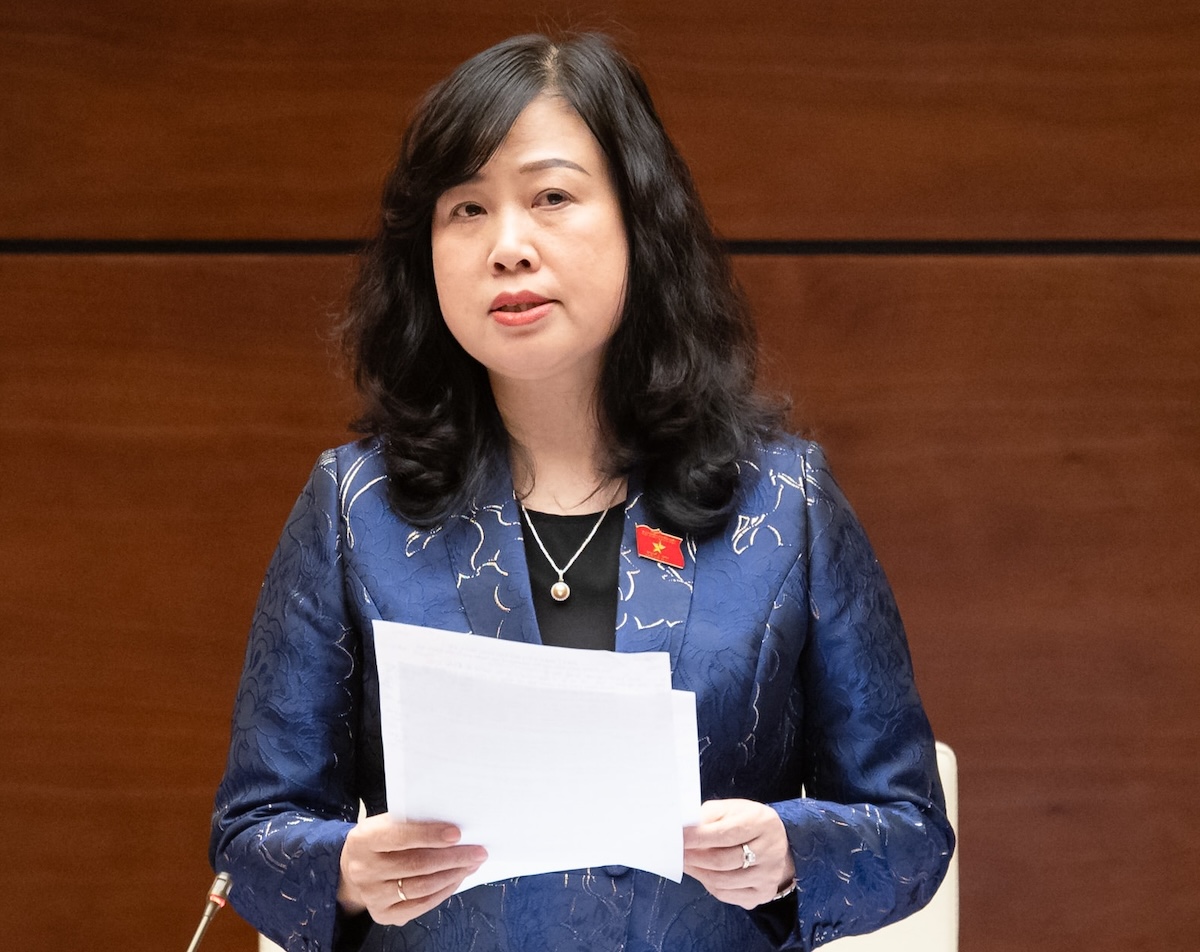 Bộ trưởng Đào Hồng Lan - Ảnh 1.