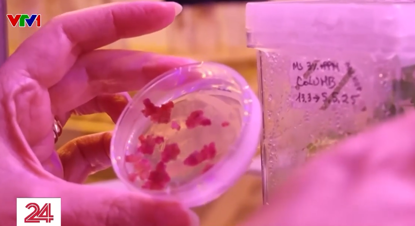 Bữa ăn tương lai của con người từ công nghệ tế bào và in 3D- Ảnh 1.