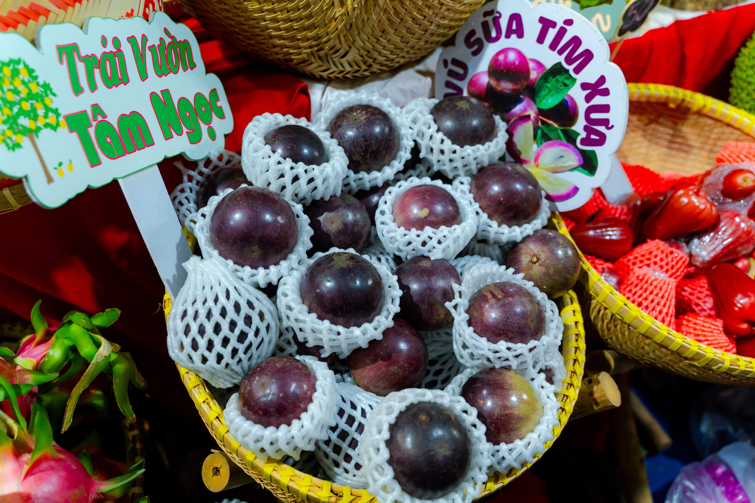VIDEO: Bưởi tiến vua, na mùi sầu riêng, chuối bàn tay Phật giá dưới 1 triệu “đổ bộ” TPHCM dịp Tết 2026 - Ảnh 3.