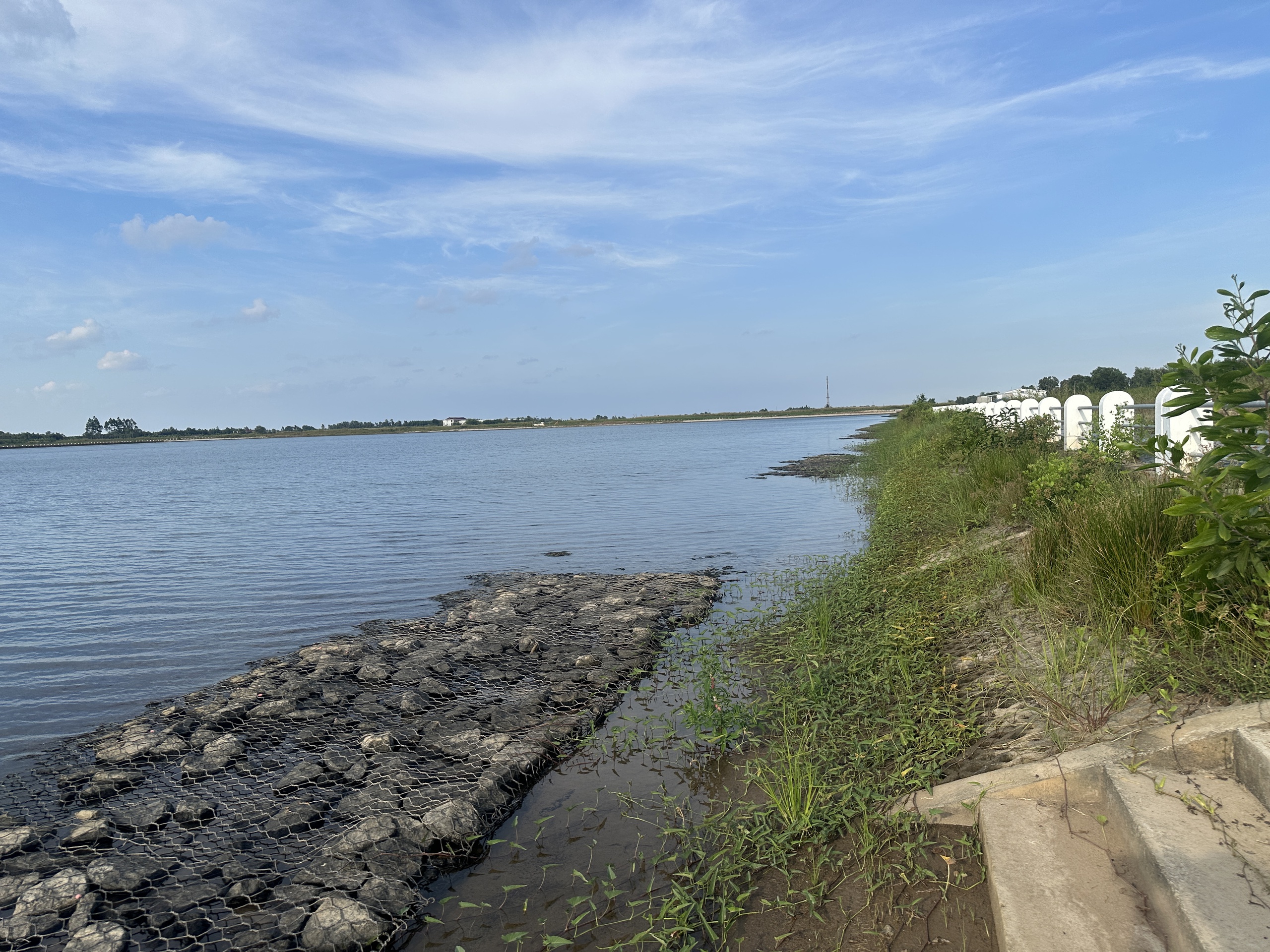 Cà Mau kết luận thanh tra 12 dự án chậm tiến độ, nguy cơ lãng phí 1 Cà Mau kết luận 12 dự án trong thanh tra chuyên đề theo Thanh tra Chính phủ - Ảnh 1.