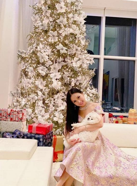 Ca sĩ Việt giàu nhất thế giới ở penthouse 2.600 tỷ, view nhìn thẳng New York- Ảnh 5.