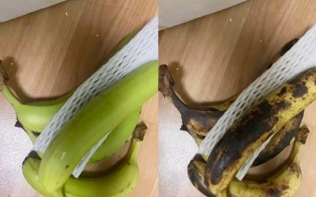 Các chủ cửa hàng thương mại điện tử Các chủ cửa hàng thương mại điện tử