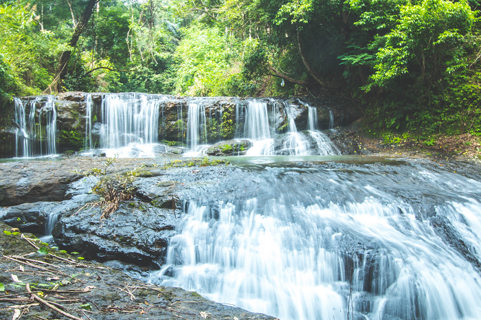 Đến Bù Gia Mập, du khách sẽ được hoà mình với thiên nhiên bởi những những tán cây cổ thụ cùng suối chảy róc rách.