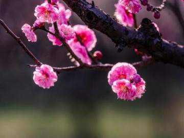 Người sống như này thực sự khôn ngoan và có tầm nhìn xa