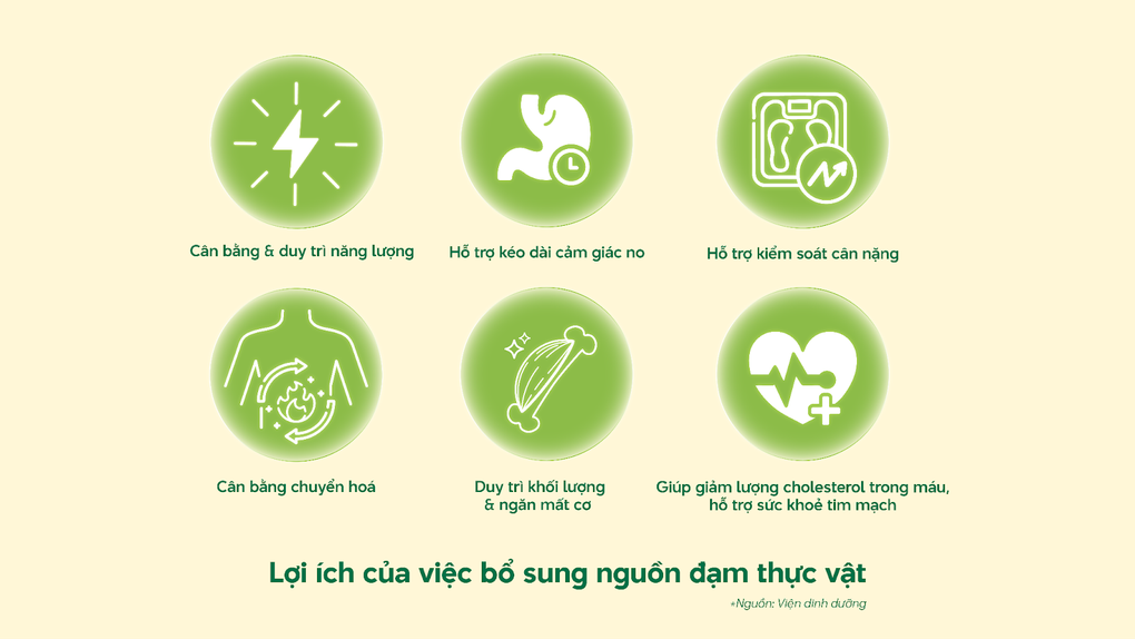 Cân bằng dinh dưỡng bằng việc bổ sung đạm thực vật vào bữa ăn mỗi ngày - 2