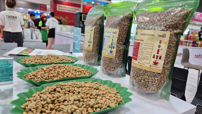 Can nao truoc vu ca phe moi