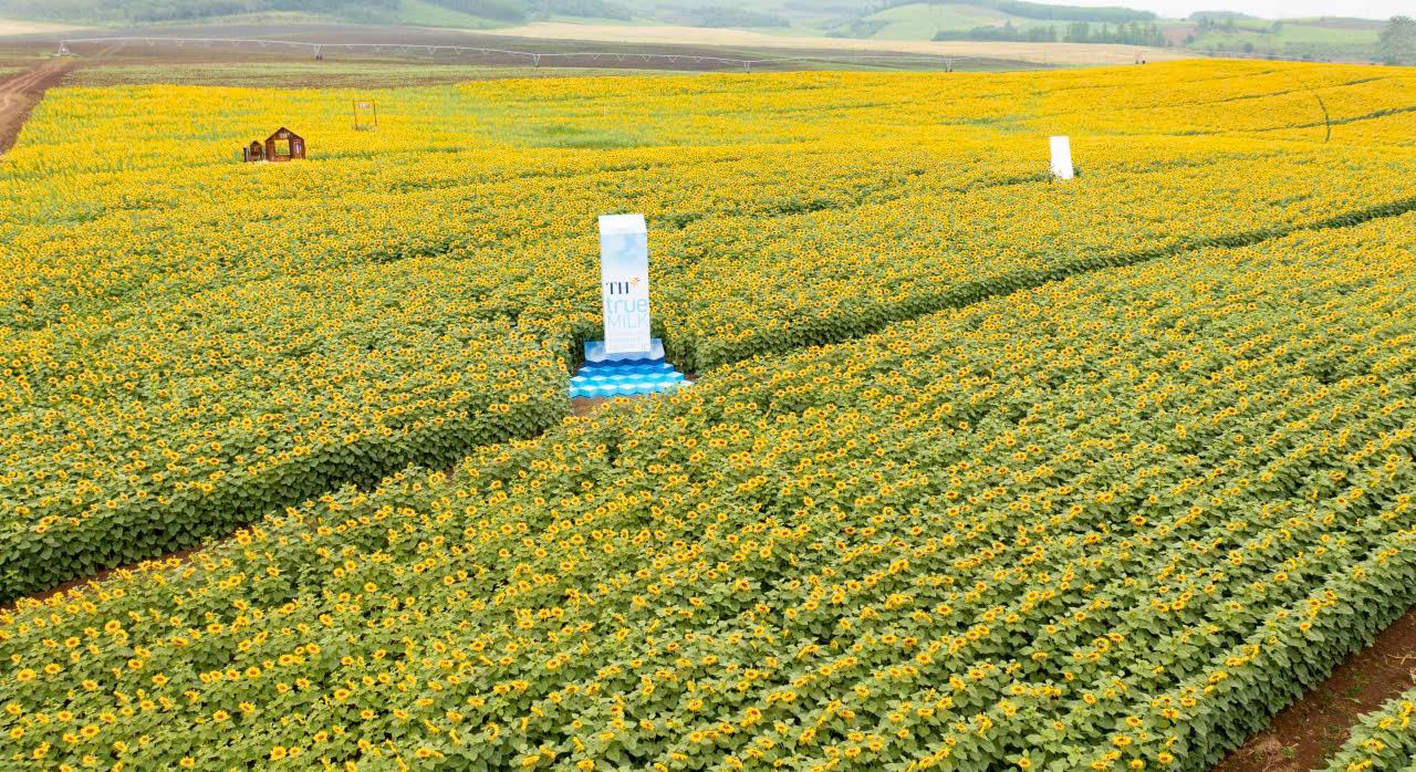 TH TRUE MILK - Ảnh 1.