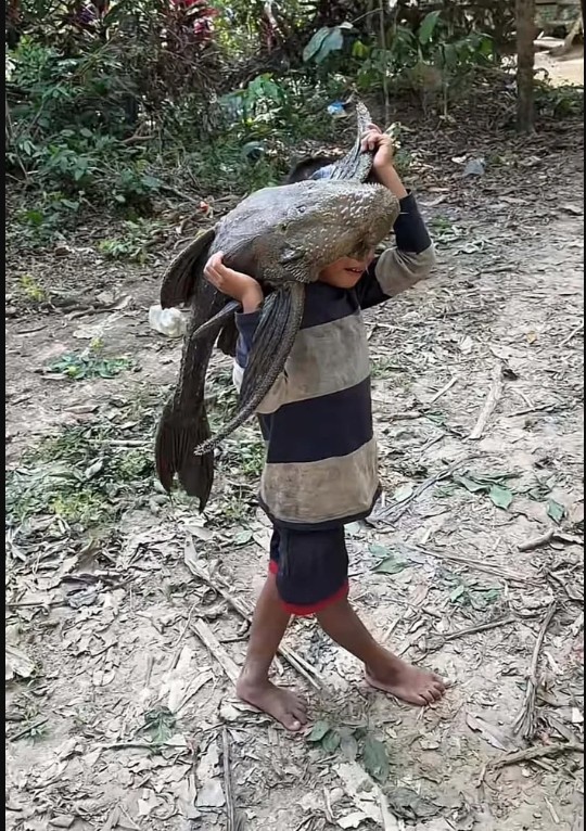 Cậu bé 5 tuổi gồng mình vác con 