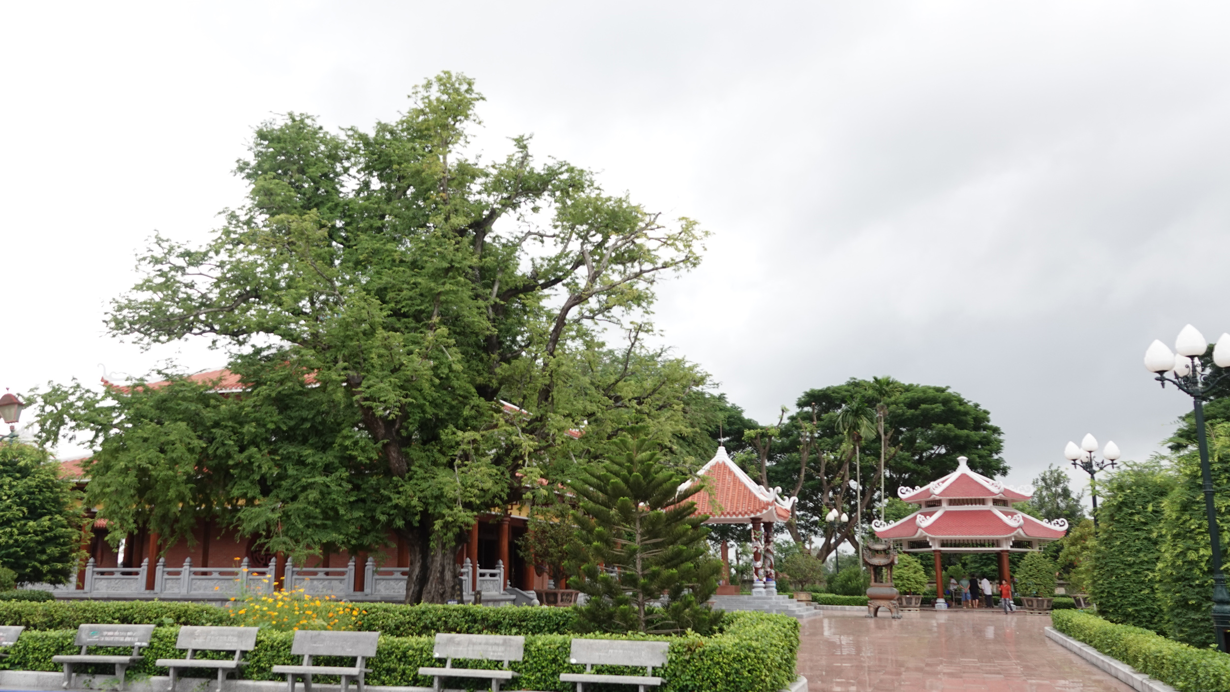 Hào khí nhà Tây Sơn từ cây me và giếng nước tại Bảo tàng Quang Trung - Ảnh 2. Hào khí nhà Tây Sơn từ cây me và giếng nước tại Bảo tàng Quang Trung - Ảnh 2.