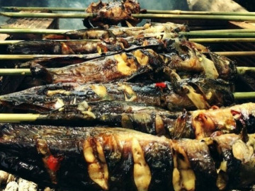 Loại cá dân dã của Việt Nam được ví như “cá hồi thịt trắng”, đạm gấp 7 lần sữa, giá siêu rẻ nấu thế này ăn không thừa một miếng 4 Loại cá bị chê bẩn nhưng bổ ngang vi cá mập, chợ Việt bán đầy mà ít người biết mua ăn