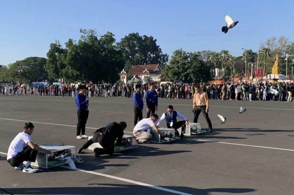 Chàng trai Việt đưa 500 bồ câu sang thả ở Viêng Chăn mừng Quốc khánh Lào - 1