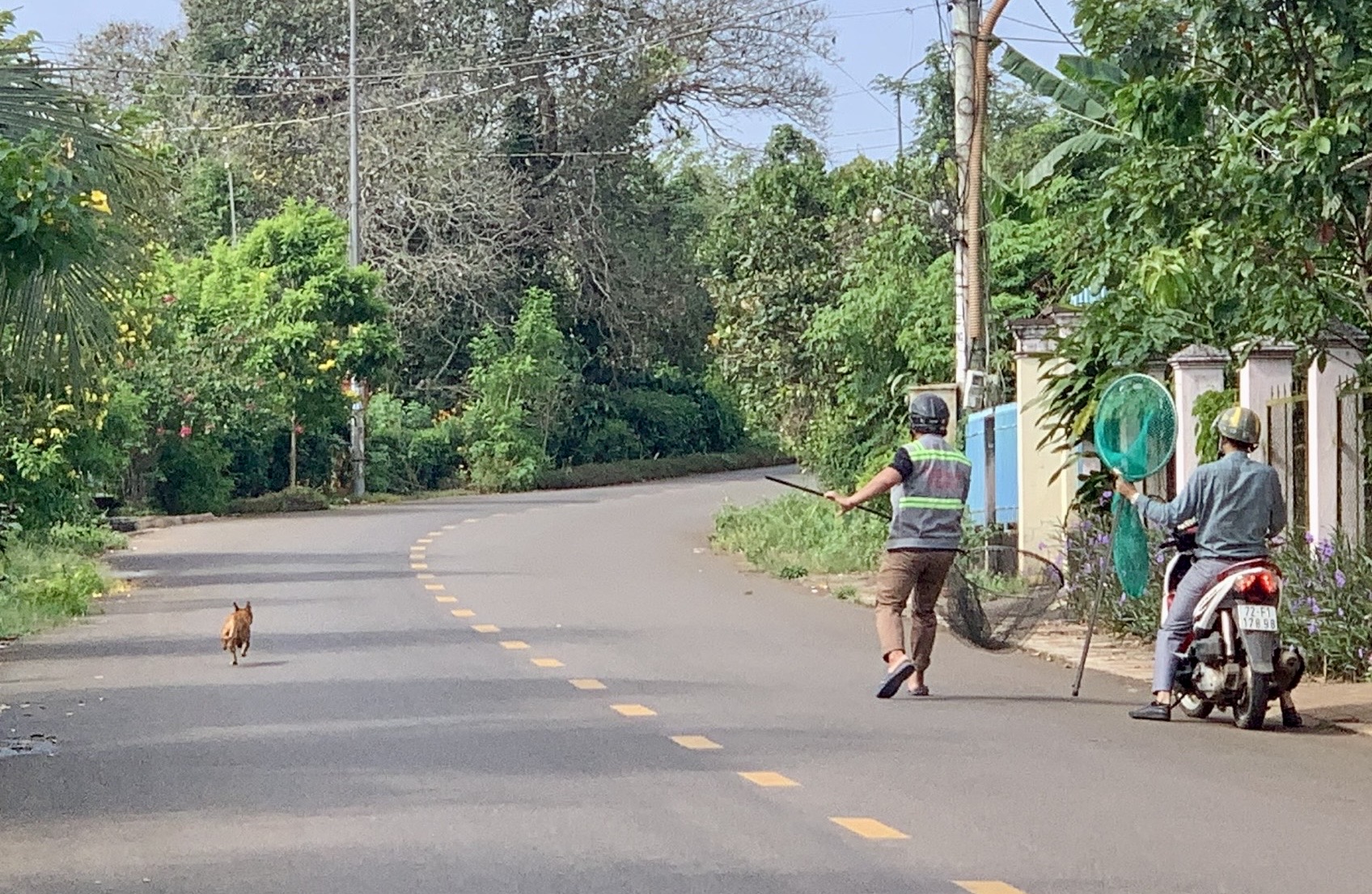 Chỉ trong 1 buổi sáng, tổ bắt chó thả rông của 1 xã ở TP HCM tóm tổng cộng 7 con- Ảnh 1. Chỉ trong 1 buổi sáng, tổ bắt chó thả rông của 1 xã ở TP HCM tóm tổng cộng 7 con- Ảnh 1.