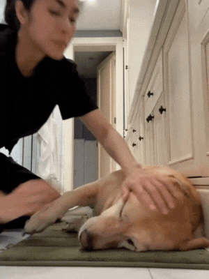 Chia buon cung Tang Thanh Ha