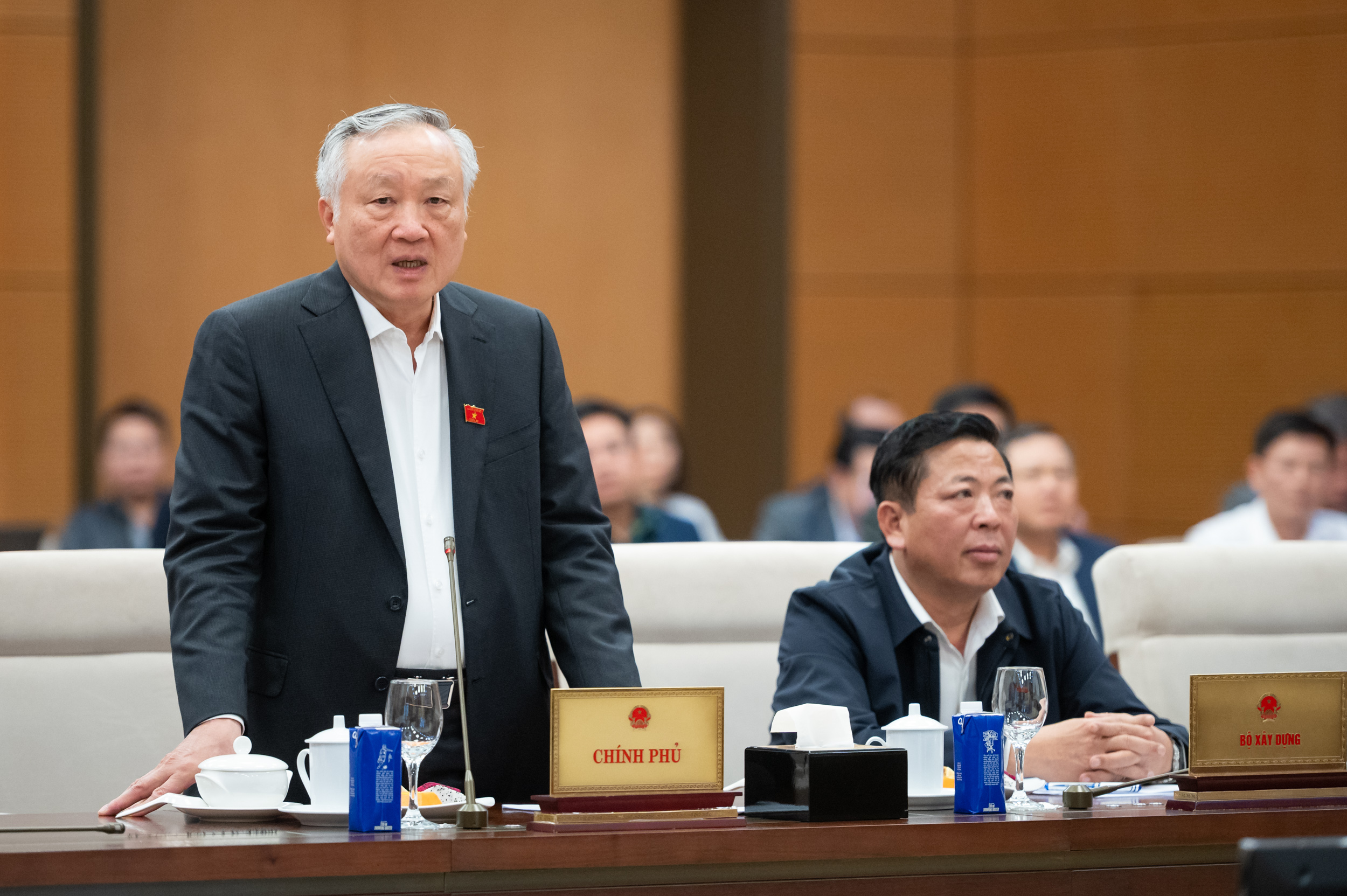 Chính phủ đề xuất bổ sung cơ chế cho đường sắt tốc độ cao Bắc - Nam - Ảnh 2.