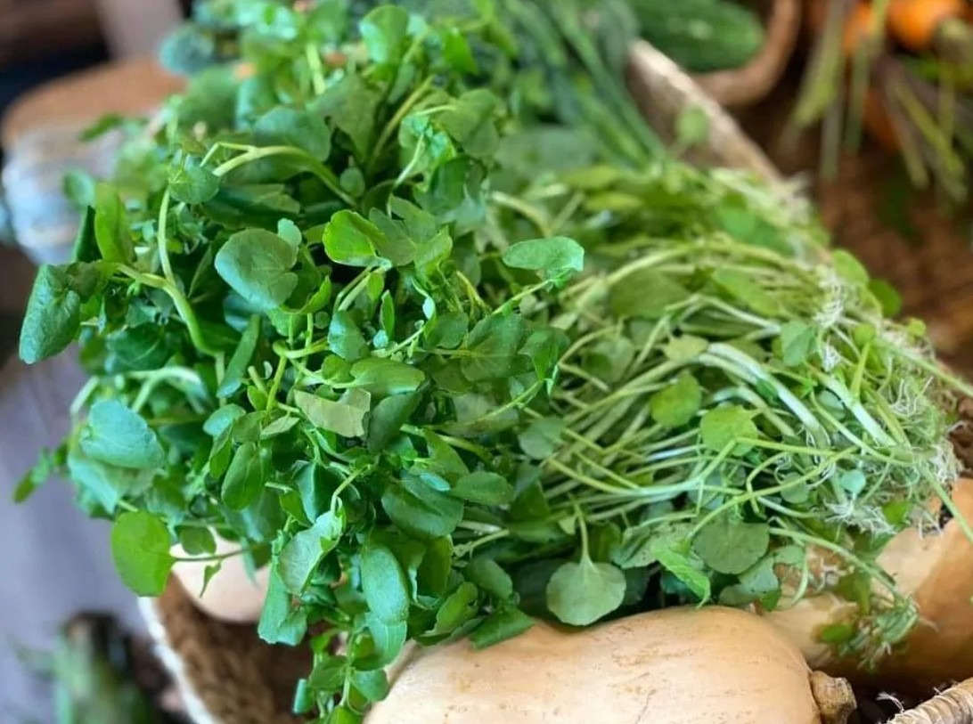 Chợ Việt có loại rau 10.000/bó, là Chợ Việt có loại rau 10.000/bó, là