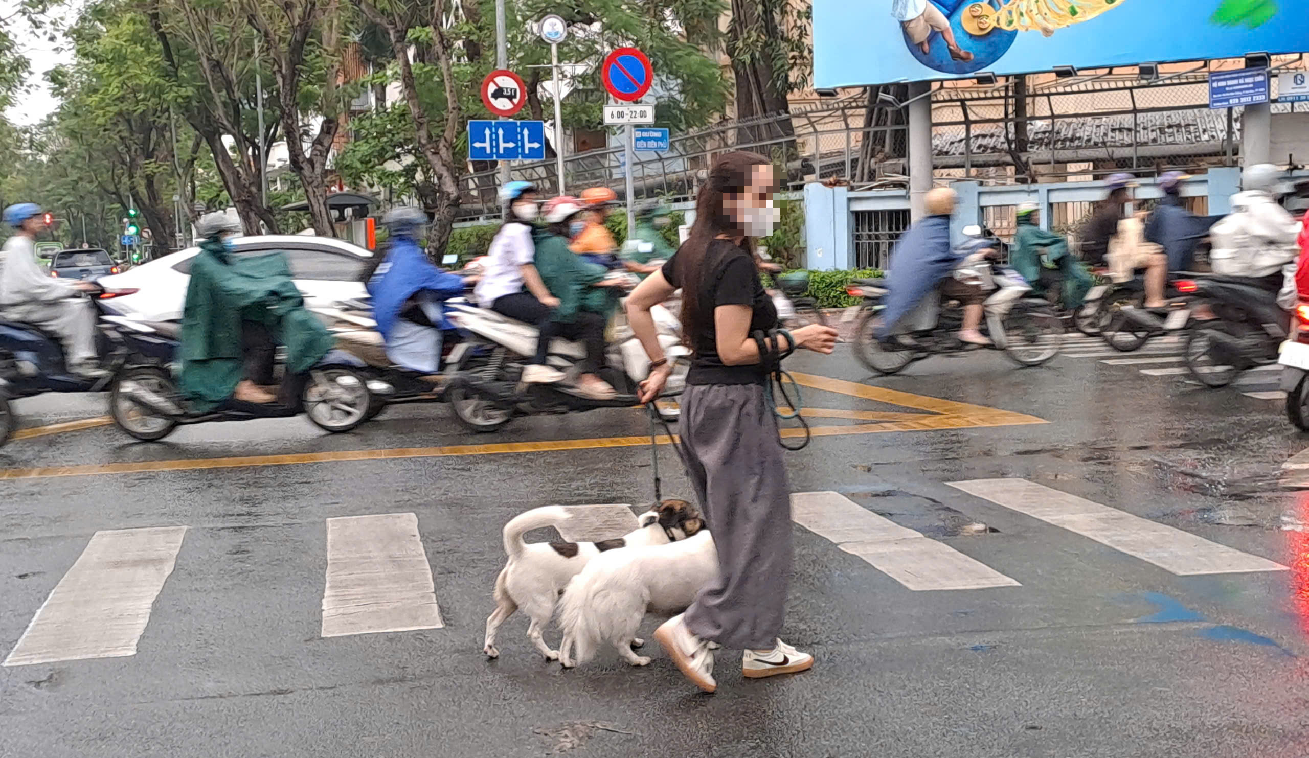 - Ảnh 6. - Ảnh 6.