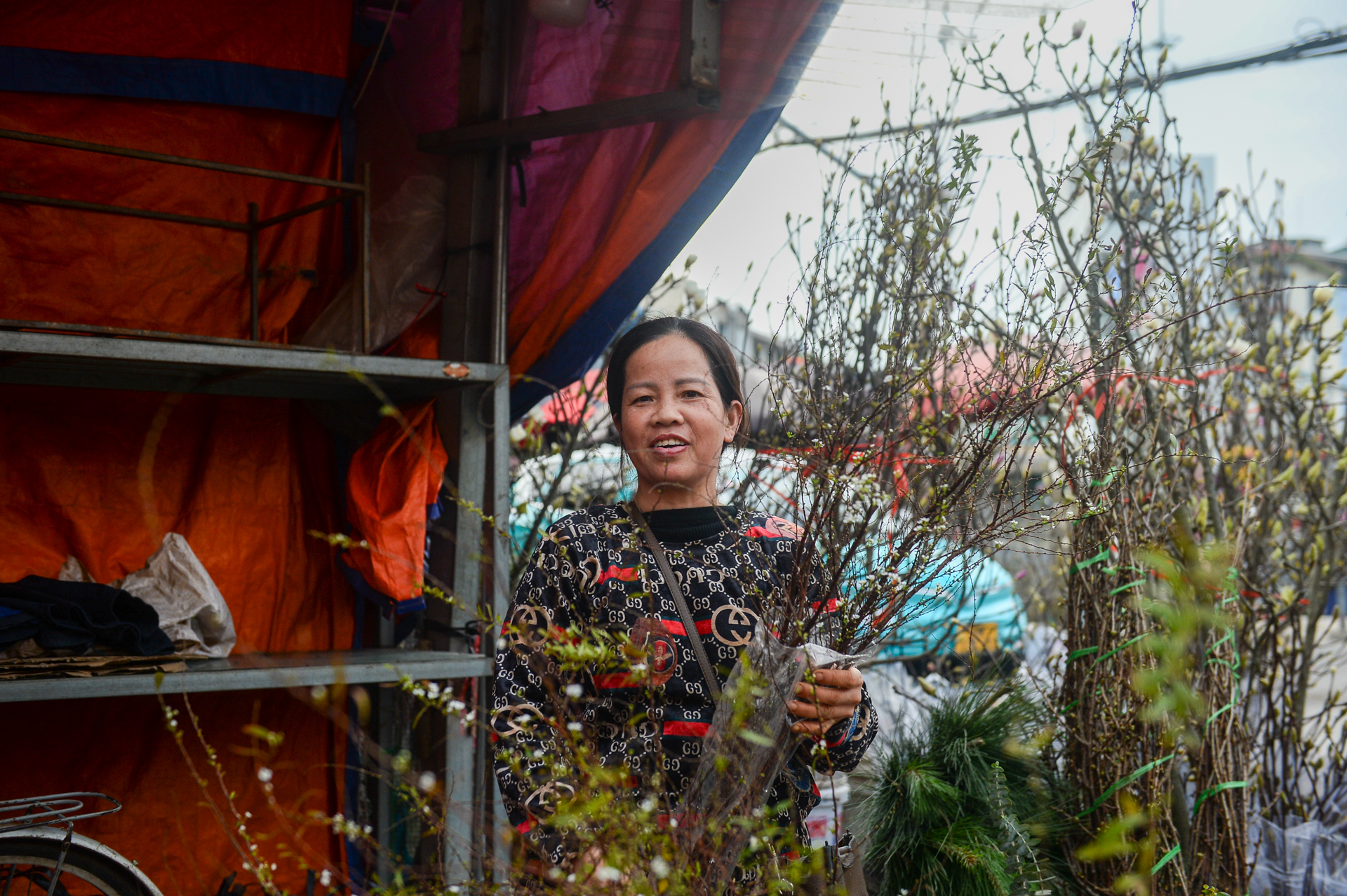 Chơi hoa sớm đón Tết, mộc lan được săn tìm tại Hà Nội - Ảnh 6. hà nội - Ảnh 6.