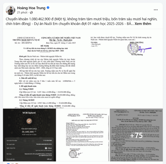 Chủ dự án 'Nuôi Em' chính thức công bố báo cáo tài chính từ năm 2019 1 Dự án nuôi em, báo cáo tài chính của dự án nuôi em