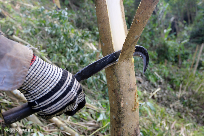 Các loại dao có tính sát thương cao, khi sử dụng trong lao động, sản xuất, cần được chủ sở hữu quản lý, bảo quản, tránh để người khác lợi dụng làm công cụ gây án. Ảnh: Đắc Thành