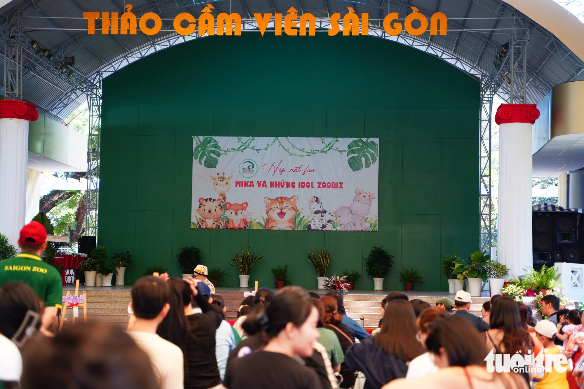 'Chủ tịch' Mika: Từ chú mèo hoang vươn mình thành 'chủ tịch' triệu fan 1 'Chủ tịch' Mika: Từ chú mèo hoang vươn mình thành 'chủ tịch' triệu fan - Ảnh 1.