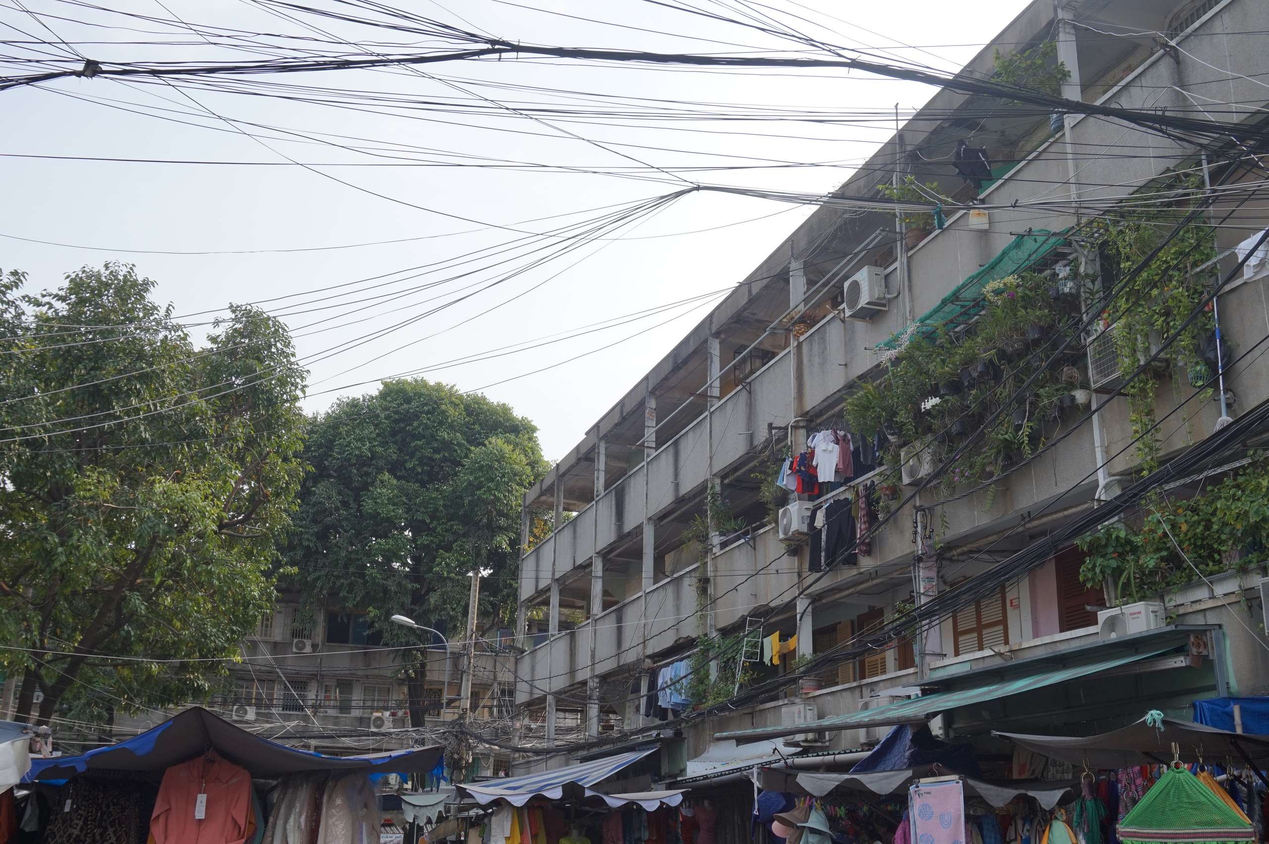 Bảo tàng sống giữa lòng TP HCM và thực trạng chung cư cấp D - Ảnh 4. Bảo tàng sống giữa lòng TP HCM và thực trạng chung cư cấp D - Ảnh 4.