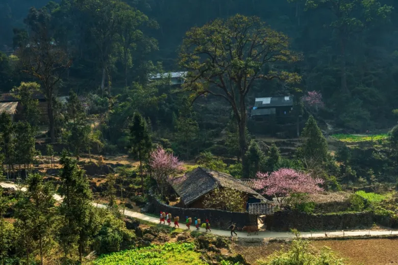 Bức tranh vùng cao nhiều màu sắc