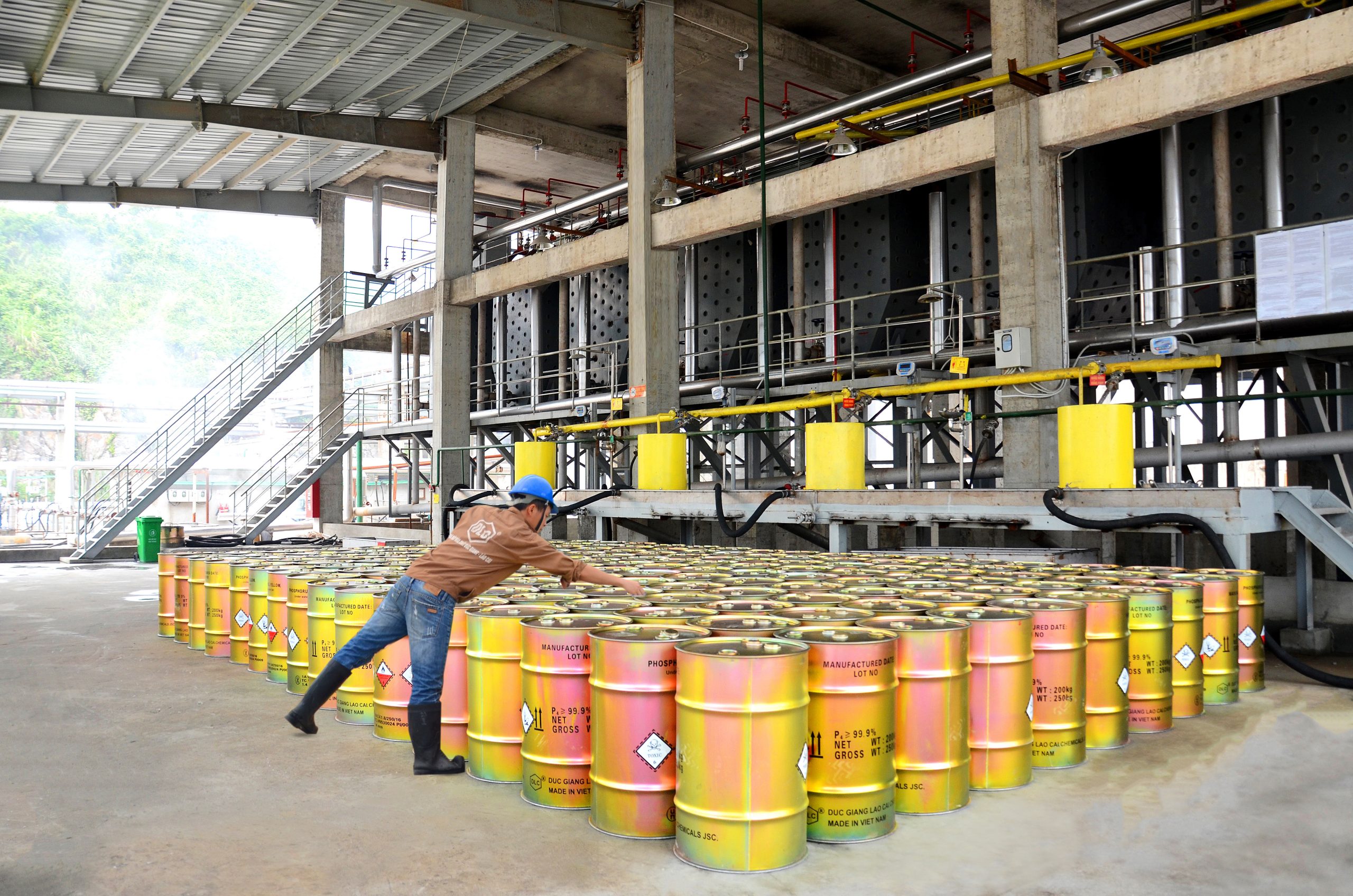 cổ phiếu - Ảnh 1.