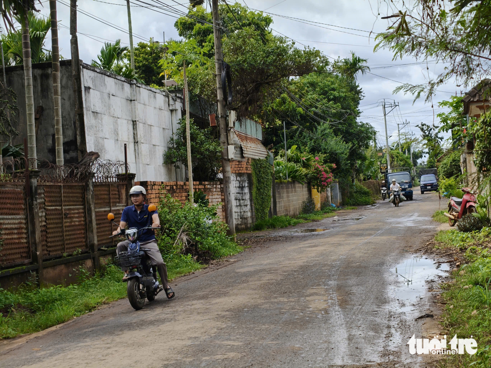 hành chính  - Ảnh 1.