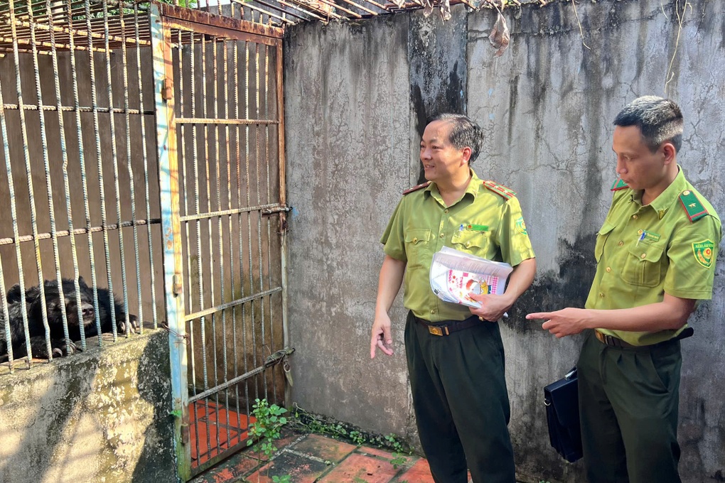 Công an kiểm tra cơ sở nuôi nhốt nhiều hổ, báo ở TPHCM - 1