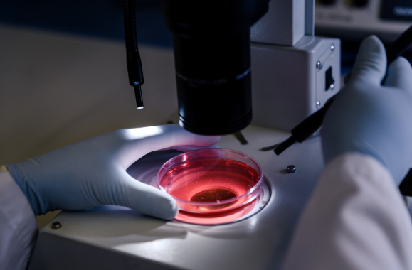 Công nghệ hình ảnh siêu nhạy giúp phát hiện ung thư sớm - Ảnh 1.