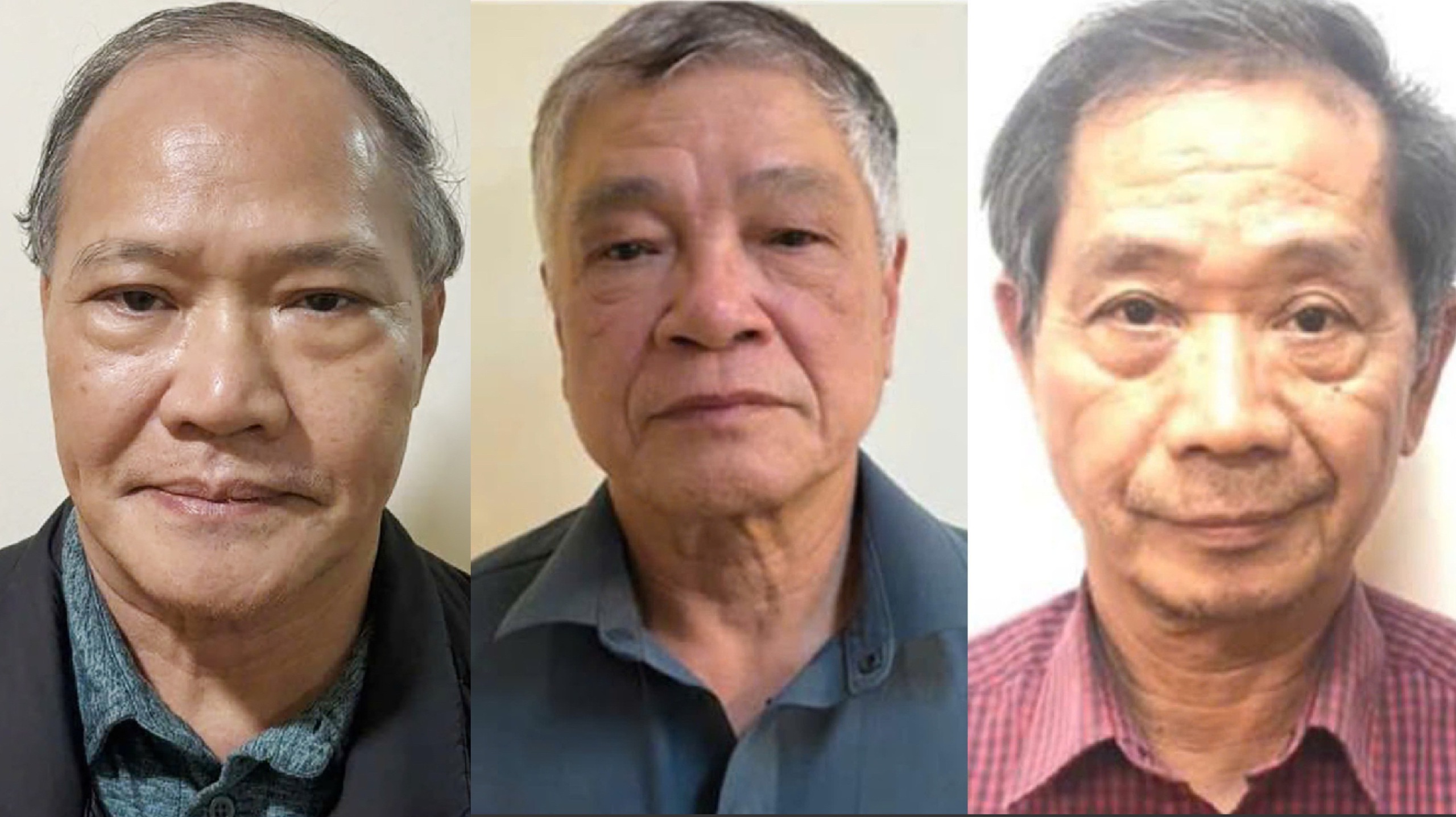 Công ty Hoàng Dân - Ảnh 1.