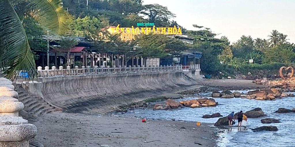 Công ty Yến Sào Khánh Hòa giải thể 11 đơn vị, công ty con và duy trì 20 đơn vị 2 Yến Sào Khánh Hòa - Ảnh 2.