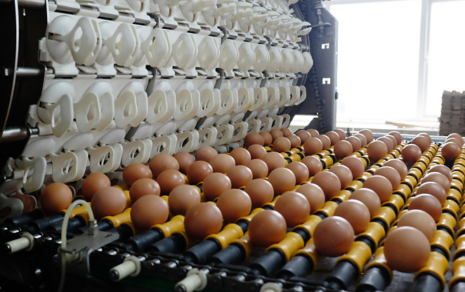 Cong ty nong nghiep Hoa Phat tinh chia co tuc