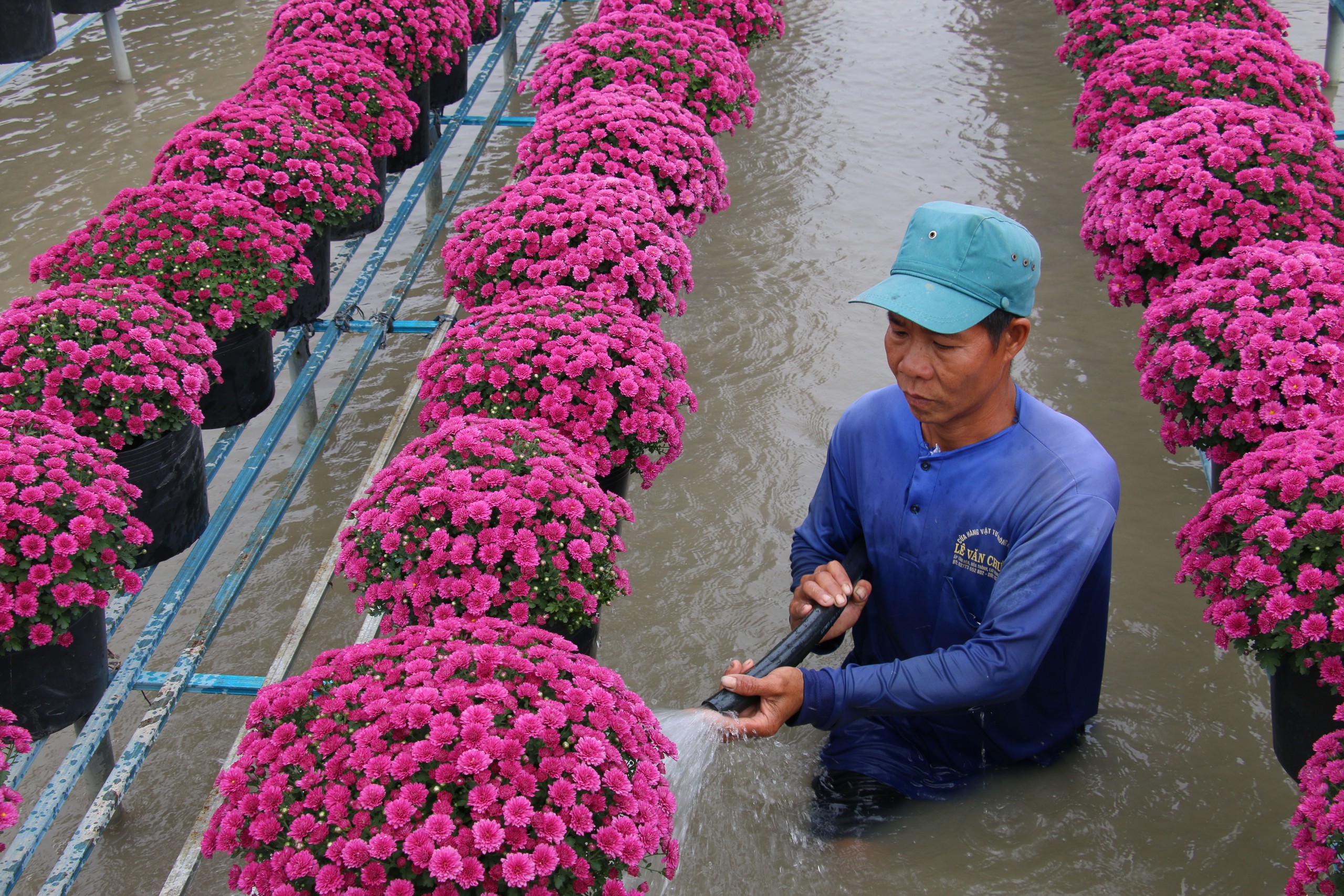 Cú hích mạnh mẽ cho du lịch miền Tây 2 Cú hích mạnh mẽ cho du lịch miền Tây - Ảnh 2.