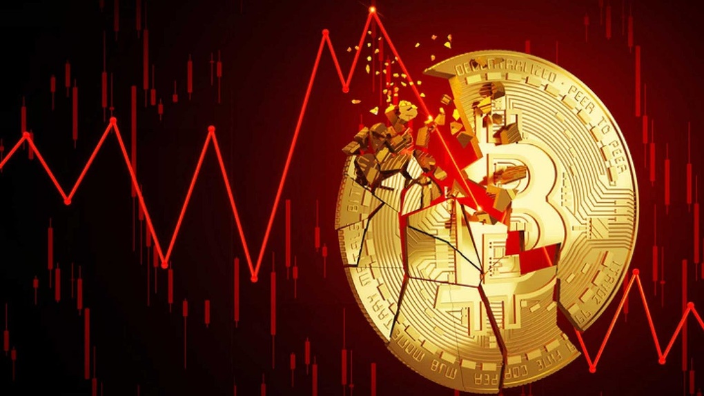 Cú sập bitcoin 2025: Cá voi đi săn, nhà đầu tư nhỏ lẻ nên làm gì? - 1