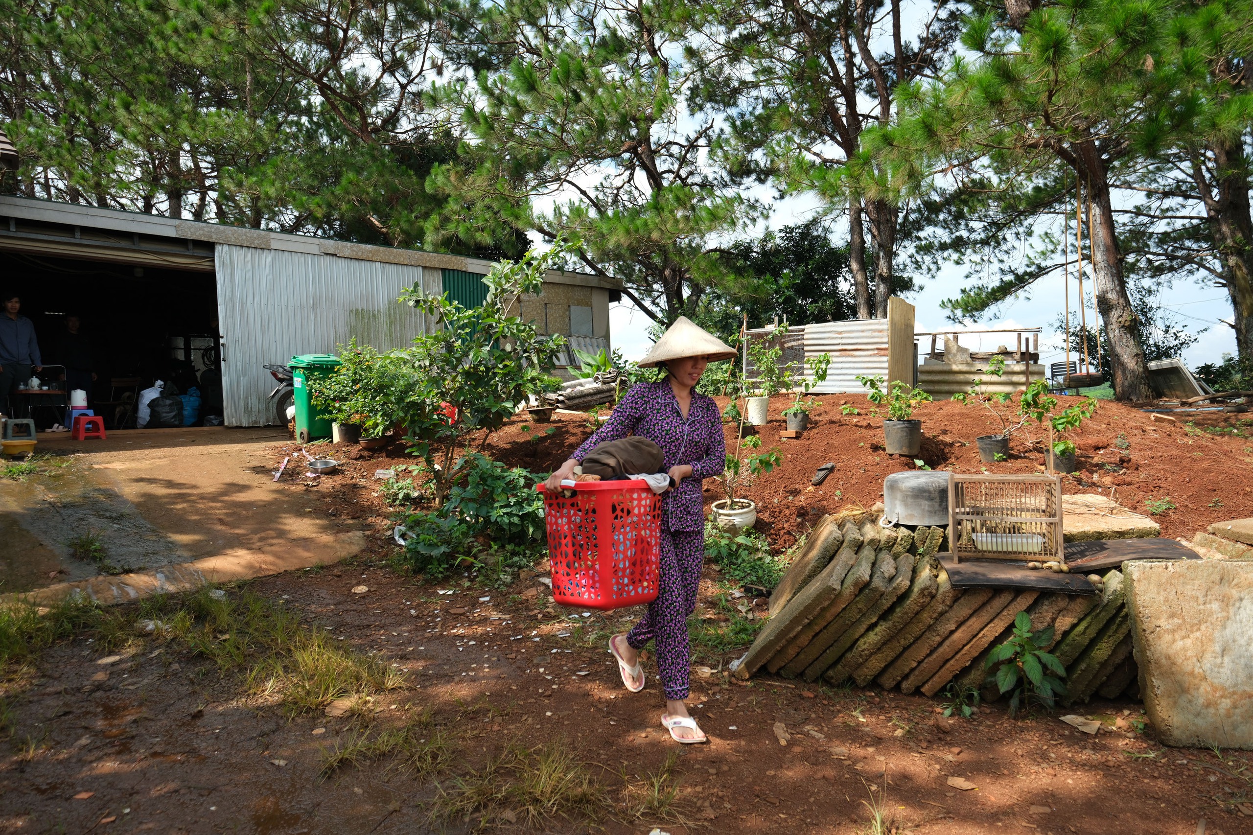 Cử tri Lâm Đồng bức xúc vì bất cập trong quy hoạch khoáng sản 1 Cử tri Lâm Đồng bức xúc vì bất cập trong quy hoạch khoáng sản - Ảnh 1.
