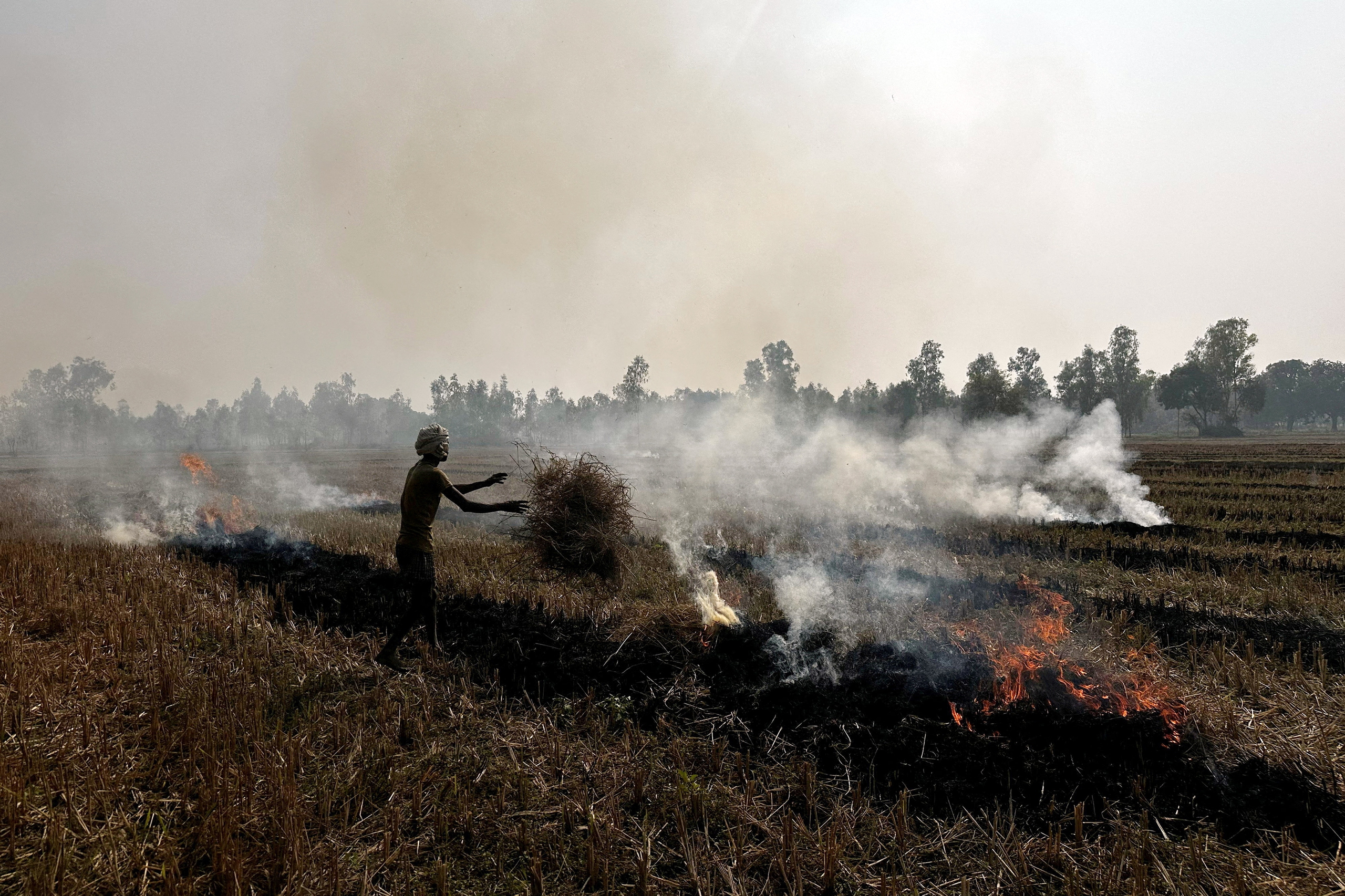 Cuộc chiến toàn cầu chống ô nhiễm không khí - Ảnh 1. ô nhiễm không khí - Ảnh 1.