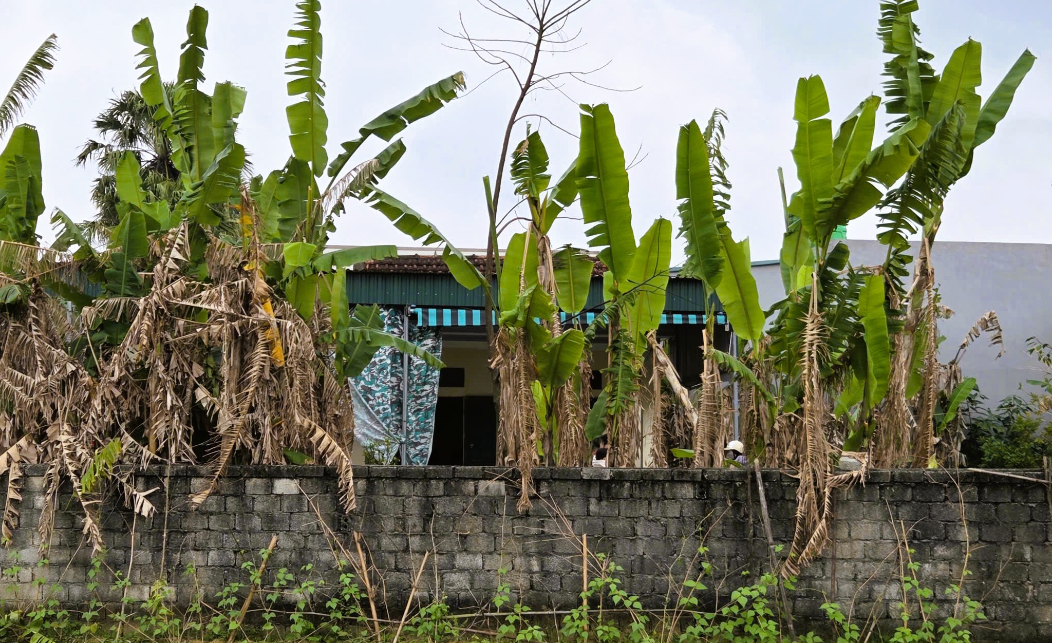 Cuộc hôn nhân sóng gió khiến người vợ bị chồng chém chết đúng ngày ra tòa - Ảnh 1.