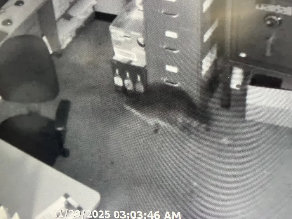 0412 Cửa hàng rượu bị 'tên cướp đeo mặt nạ' đột nhập, nghi phạm gấu mèo say đến bất tỉnh trong nhà vệ sinh_4.jpg