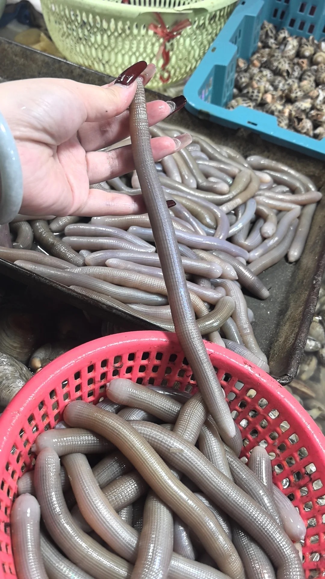 Món ăn nhìn nổi da gà ăn ngọt lịm tim: Đặc sản khiến khách Việt nhớ ngay đến Món ăn nhìn nổi da gà ăn ngọt lịm tim: Đặc sản khiến khách Việt nhớ ngay đến